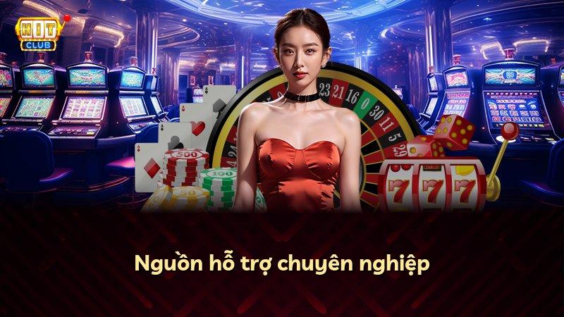 Nguồn hỗ trợ chuyên nghiệp